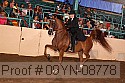 09yn-08778 proof