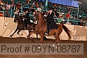 09yn-08787 proof
