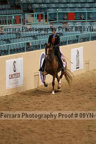 Proof 09yn-08796