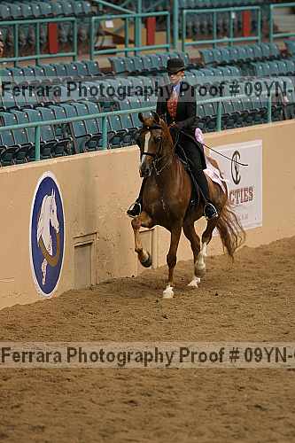 Proof 09yn-08797