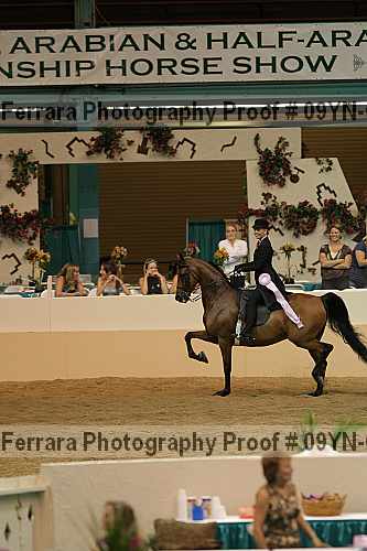 Proof 09yn-08805