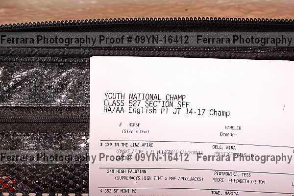 Proof 09yn-16412