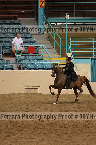 Proof 09yn-16414