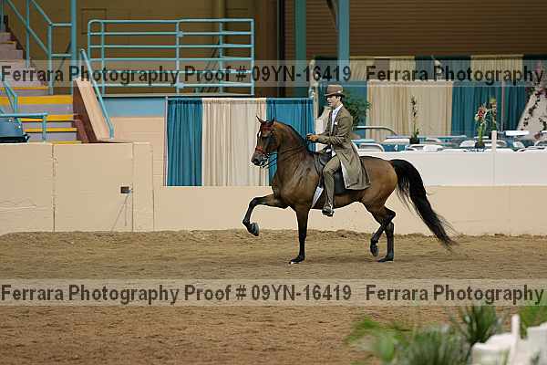 Proof 09yn-16419
