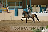 09yn-16419 proof