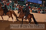 09yn-16432 proof