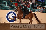 09yn-16434 proof