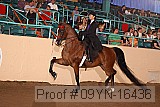 09yn-16436 proof