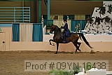 09yn-16438 proof