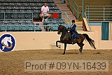 09yn-16439 proof