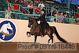 09yn-16446 proof