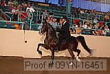 09yn-16451 proof