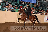 09yn-16453 proof