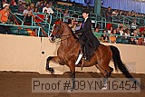 09yn-16454 proof