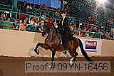 09yn-16456 proof