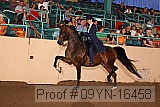 09yn-16458 proof