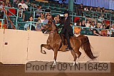 09yn-16459 proof