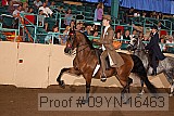 09yn-16463 proof