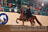 09yn-16464 proof