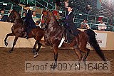 09yn-16466 proof
