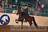 09yn-16468 proof