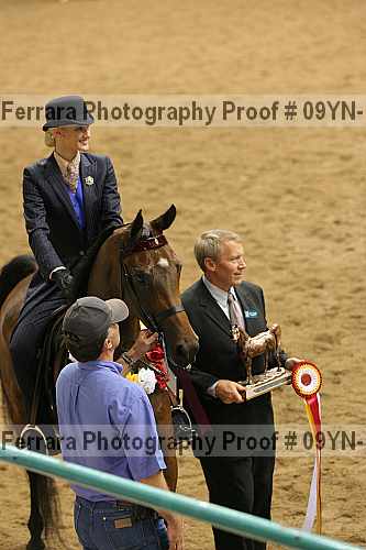 Proof 09yn-16483