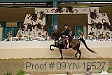 09yn-16527 proof