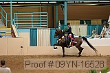 09yn-16528 proof