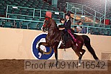 09yn-16542 proof