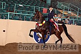 09yn-16544 proof