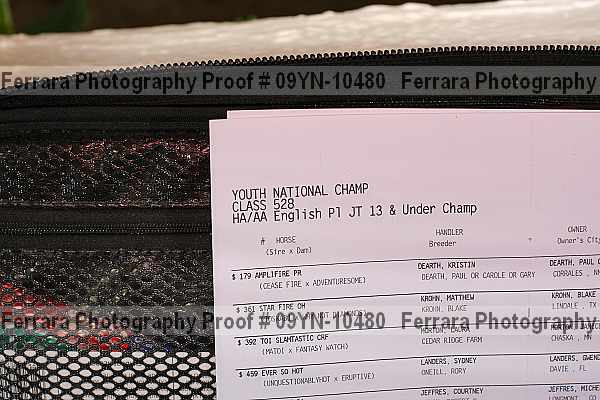 Proof 09yn-10480