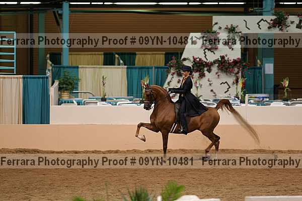 Proof 09yn-10481