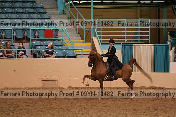 Proof 09yn-10482
