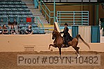 09yn-10482 proof