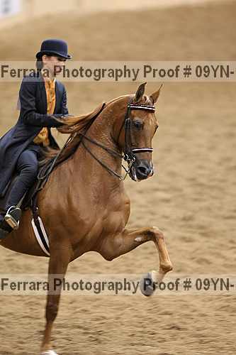 Proof 09yn-10485