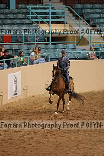 Proof 09yn-10486