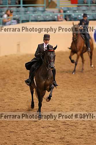 Proof 09yn-10487