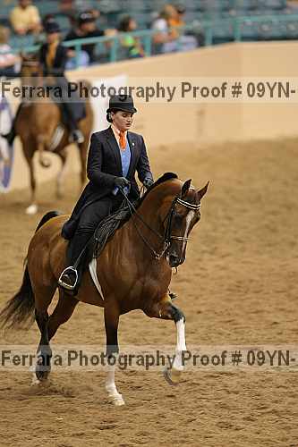 Proof 09yn-10491