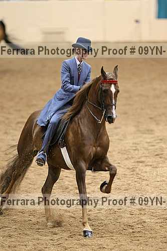 Proof 09yn-10492