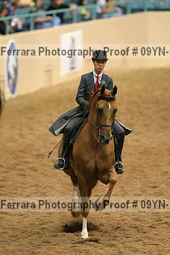 Proof 09yn-10493