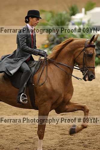 Proof 09yn-10494