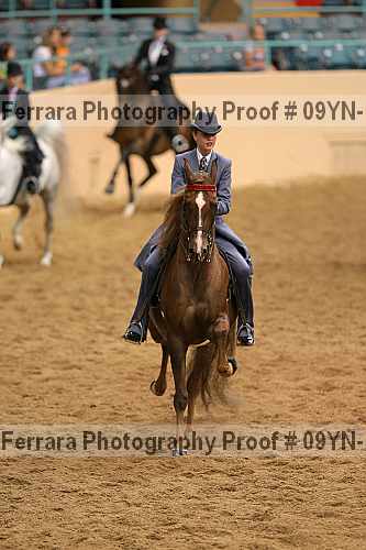 Proof 09yn-10496