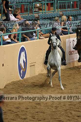 Proof 09yn-10497
