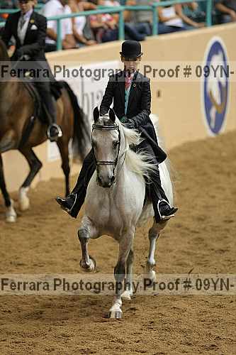 Proof 09yn-10498