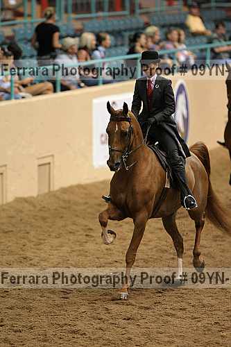 Proof 09yn-10499
