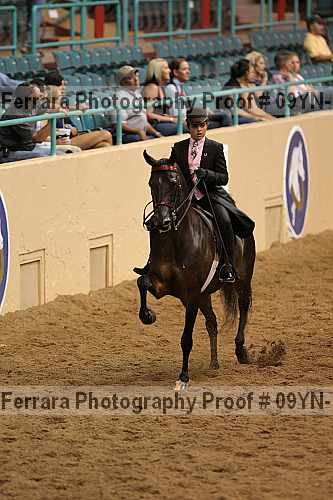 Proof 09yn-10504