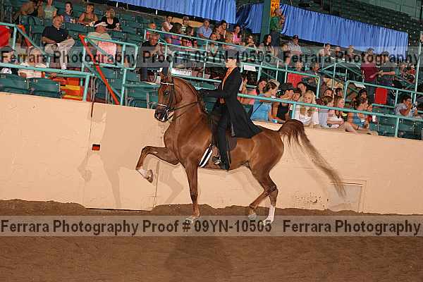 Proof 09yn-10505