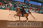 09yn-10505 proof