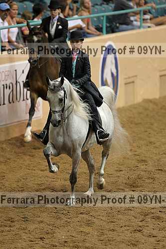 Proof 09yn-10506