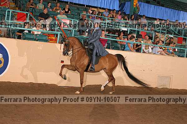 Proof 09yn-10507